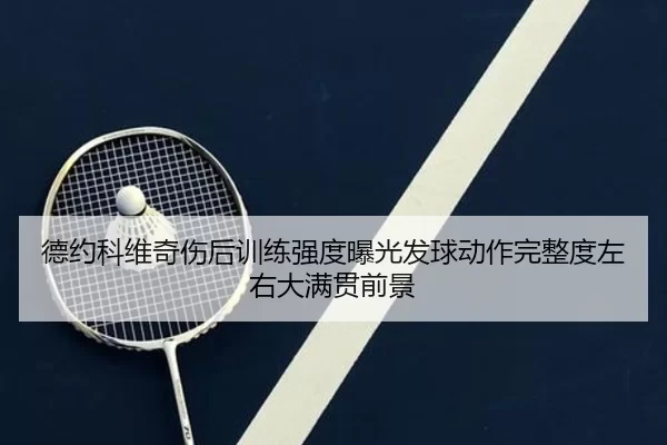 德约科维奇伤后训练强度曝光发球动作完整度左右大满贯前景